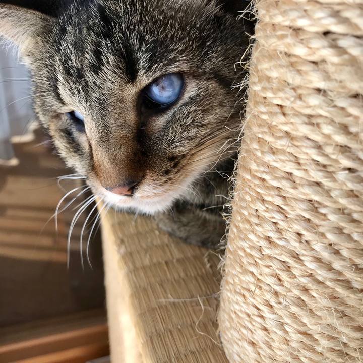 F857dbb1 6c7c 431f be3b dddbcf597bbf 1583479908352