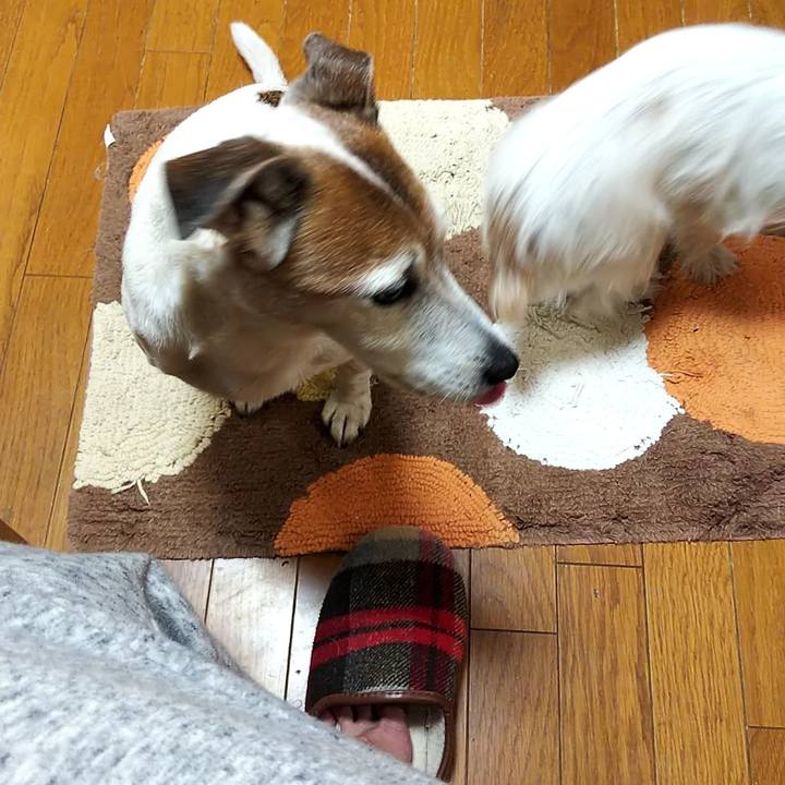 F857f0a7 70fc 46e4 8f60 cb5f5cc29b09 1550096169862