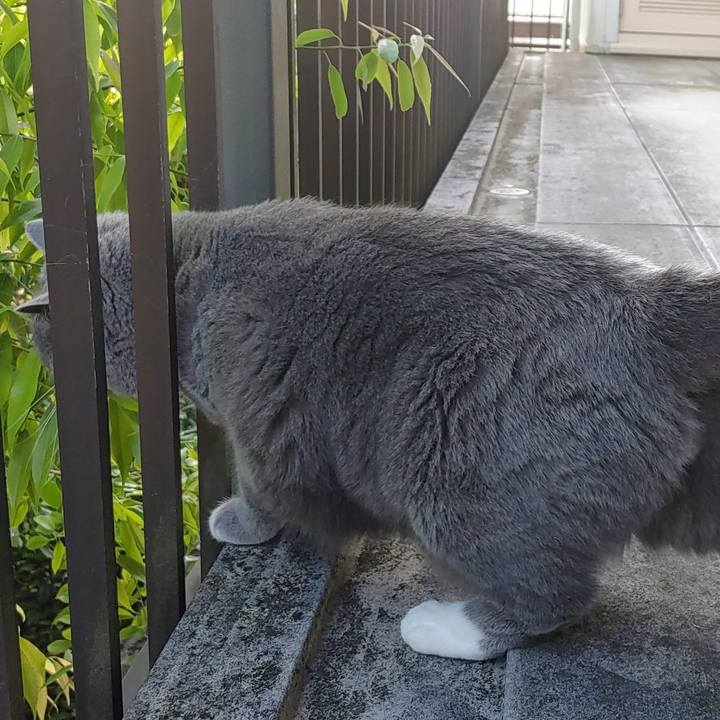 F8580b5b c43a 4627 8a44 f2d354758dfc 1653364471511