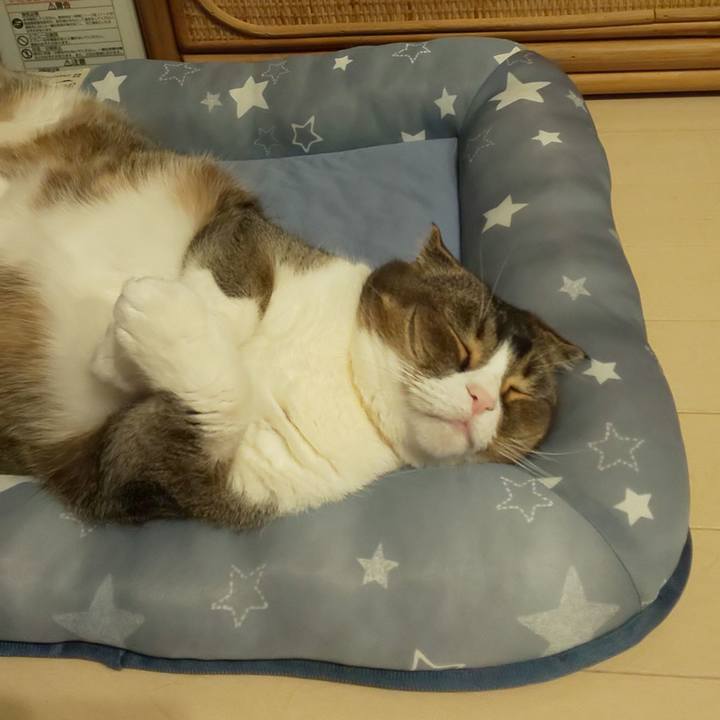 F8583e9c 978c 4e35 bee9 7e9c83870c8c 1620384466480