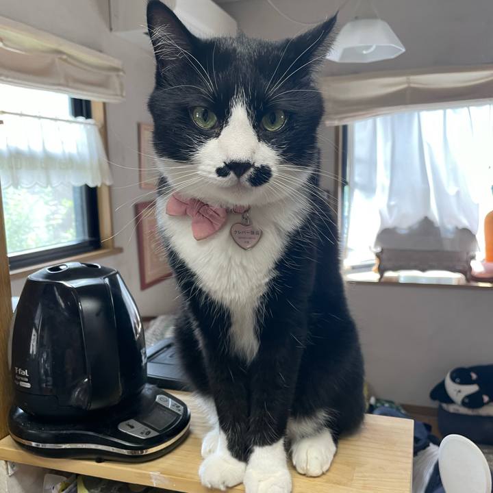 F85899a5 9e2a 4628 a994 a2092576317e 1752109594220