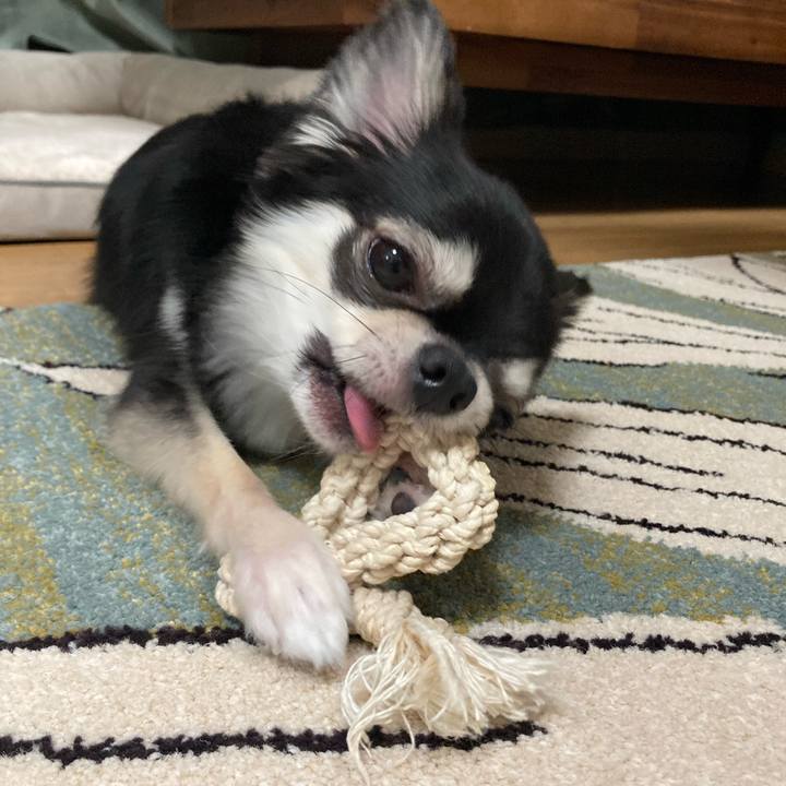 F8589aea 9a32 44a0 88c2 735cb51785ac 1626961442331