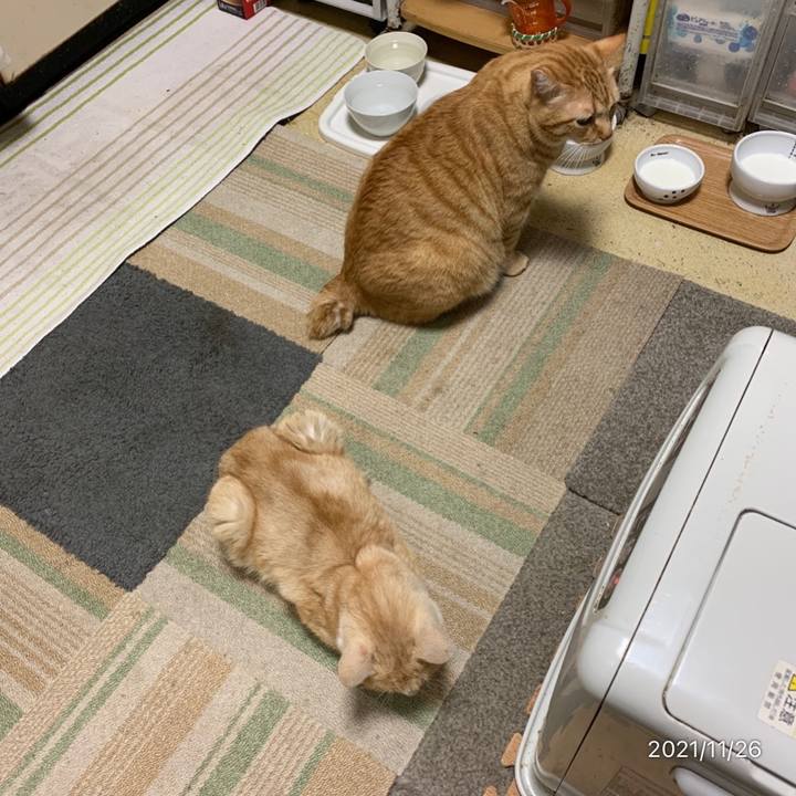 F858a0c5 b15f 4190 ab96 218d7a59e1eb 1637877164330