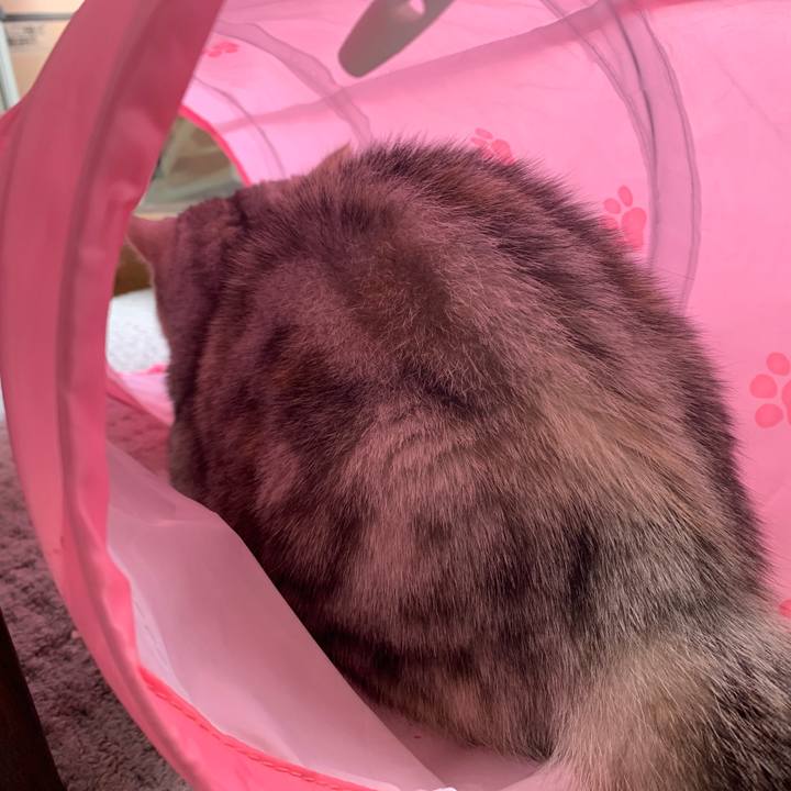 F858ce03 eb9c 4d3e ba6f 6391a1d1c949 1709790806425