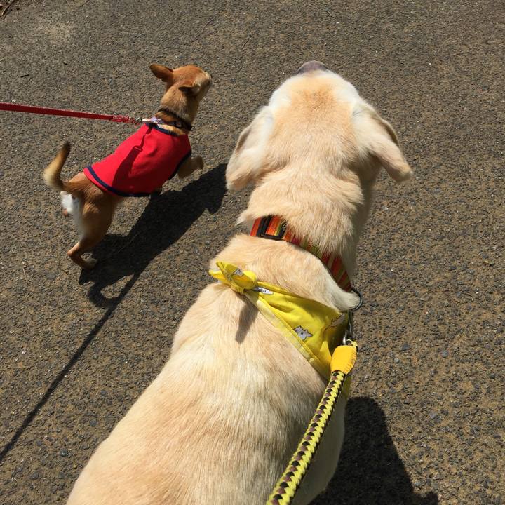 F858d77c e898 4e91 bc5d cb517155bb89 1548565854589