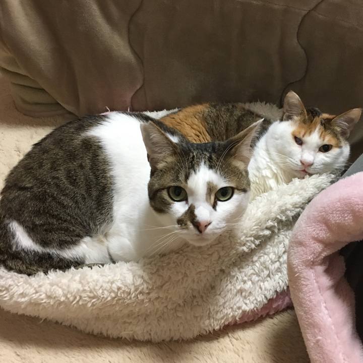 F858de49 4e0e 477d b938 51bc16b70e66 1519687292160