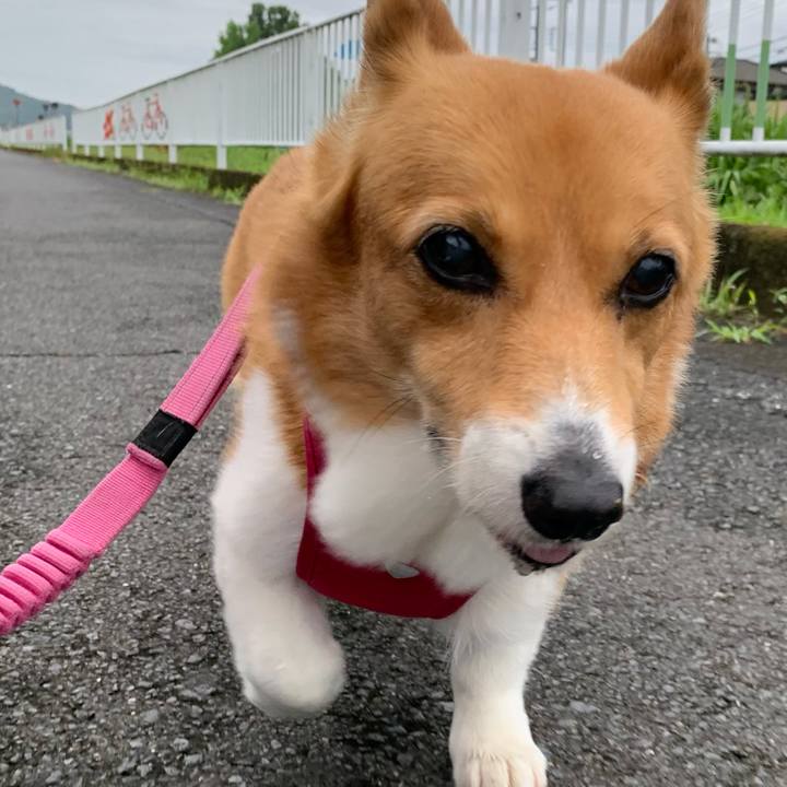 F858e322 7a3c 40cb 87bb 5f3c7820fe25 1719618554194