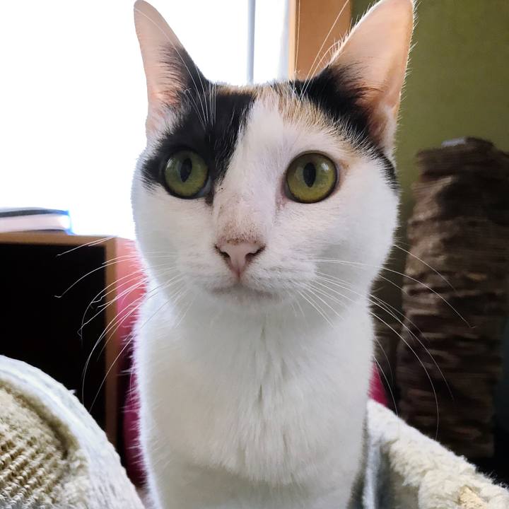 F8590195 6009 427b 86d3 00566105d75a 1508063899151