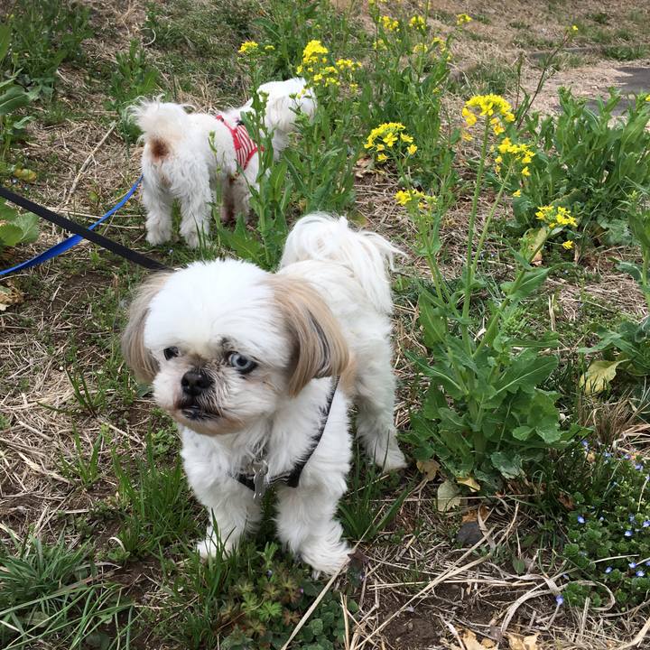 F8591573 87bf 4a64 b59e d8dca83d9fee 1616241278694