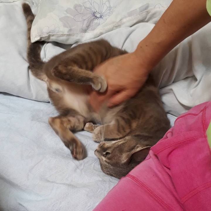 F8594e9c a403 41aa a6e1 3b7986deada2 1569506147930