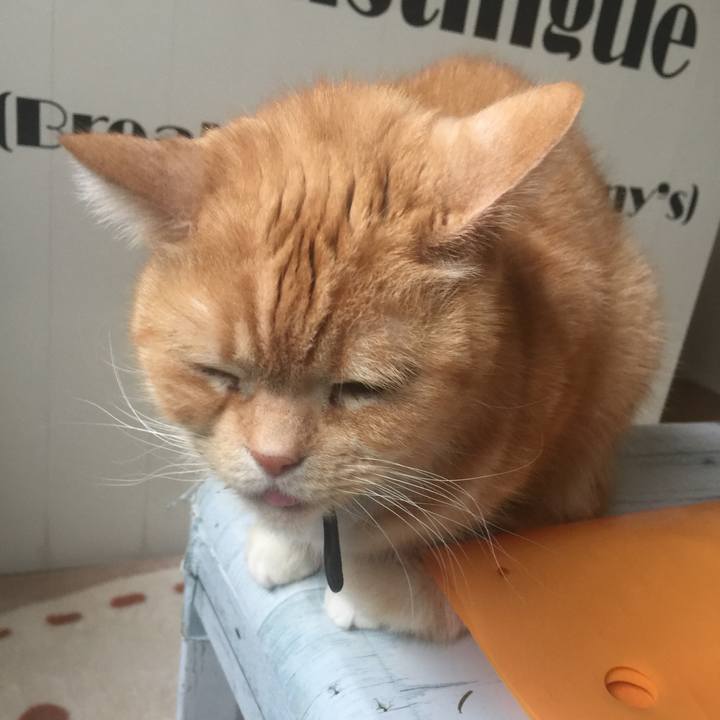 F8598d8b 0728 4aa3 bb38 00069158dea1 1553309263008