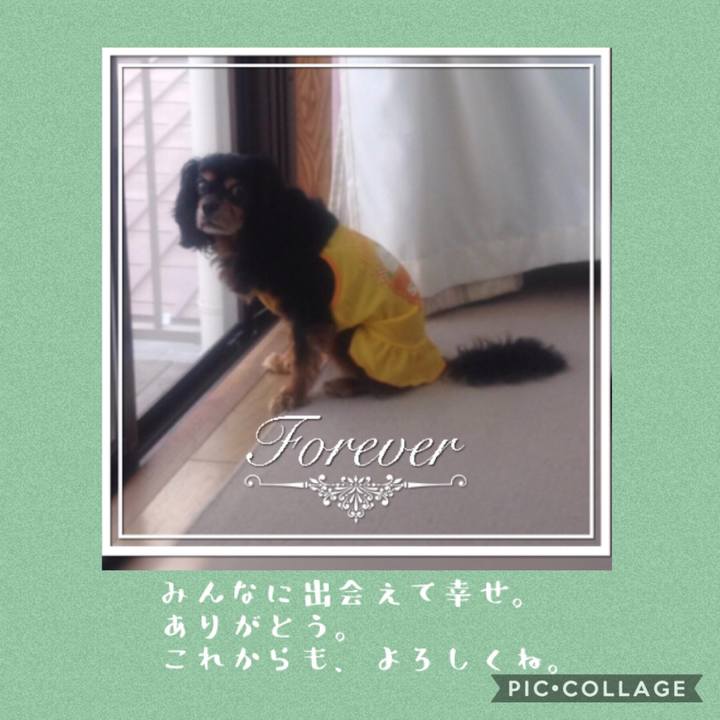 F8599b82 b75b 417c 83c1 436f32400bb1 1538838547346