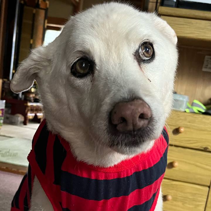 F85a863e c45d 4a67 89e6 0bdac55255b1 1767495850796