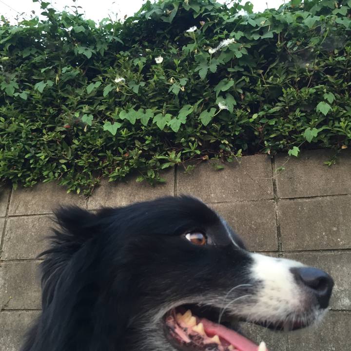 F85a8cf4 c0dd 4e84 be87 5e2252c1e6d6 1531946794602