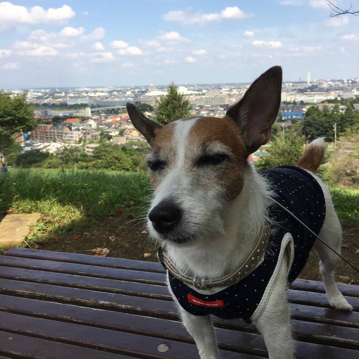 F85a8ef3 126e 4d65 91e8 7c49cd189c6b 1601698466632