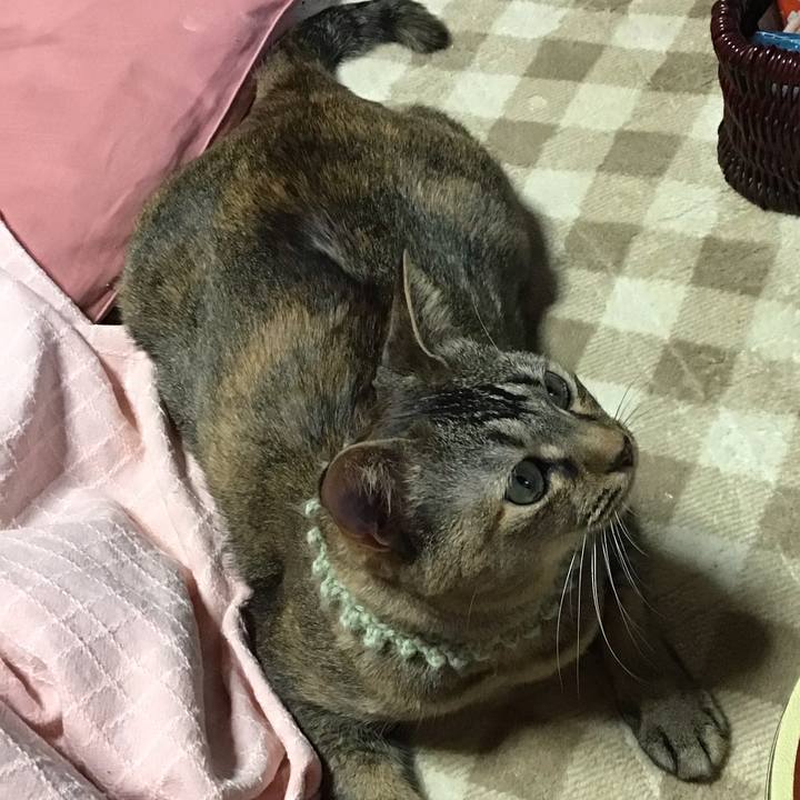 F85a98b0 c88a 4fed 8324 6cad1a4fa225 1643753697555