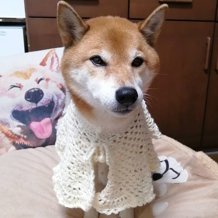 F85ab67c 7671 43b1 9247 31b462783d20 1669798362061