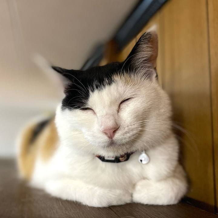 F85b2b17 7604 4ee8 90b0 f8fdd799954c 1654520947980