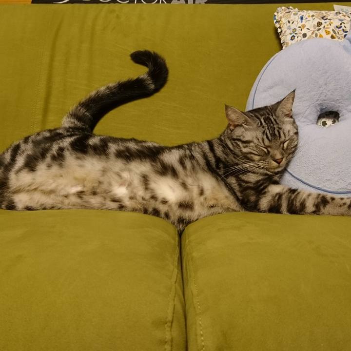 F85b2d81 aaaa 4c72 b6d0 0ca0ec532e70 1513083172882