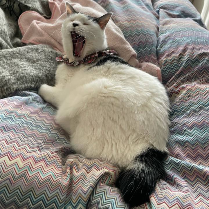 F85b30cf 19e4 459a 8dd7 efaec838ac60 1678527219766