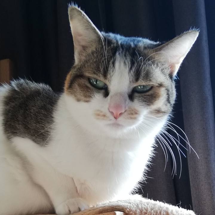 F85b5707 a7d5 4284 981b c5914df87e88 1616216362299