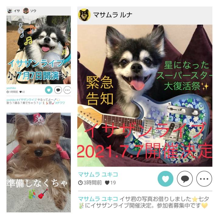 F85b8093 0d12 4a3c ba1b a3f4072b9fb8 1623469668463