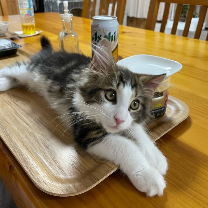 F85b8213 19a1 4e7e 8fdd e337212ae594 1632908422126