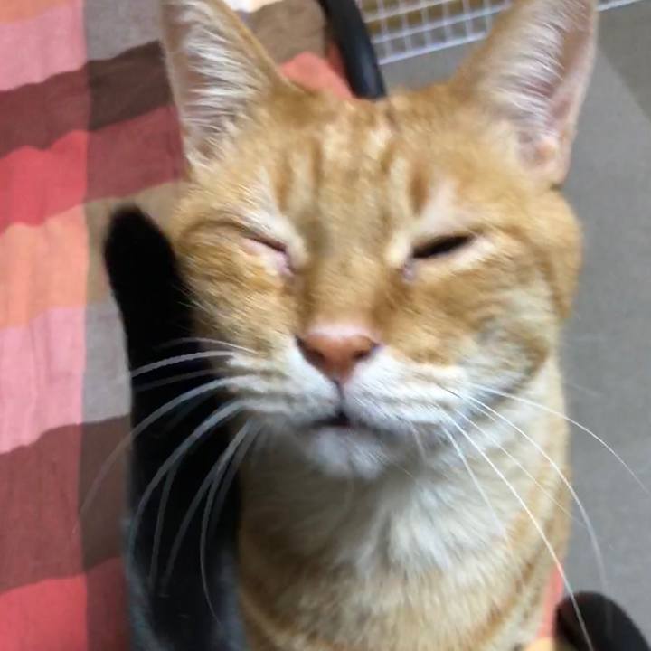 F85b82d1 9ef8 4dc2 9180 4c4a20c6aa12 1671744280540