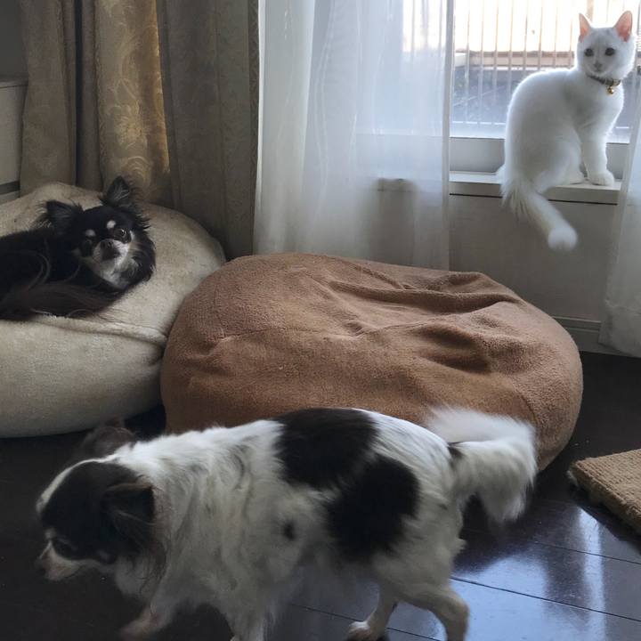 F85b9aef 350d 4d6f 92f2 621faac401b9 1509324006658