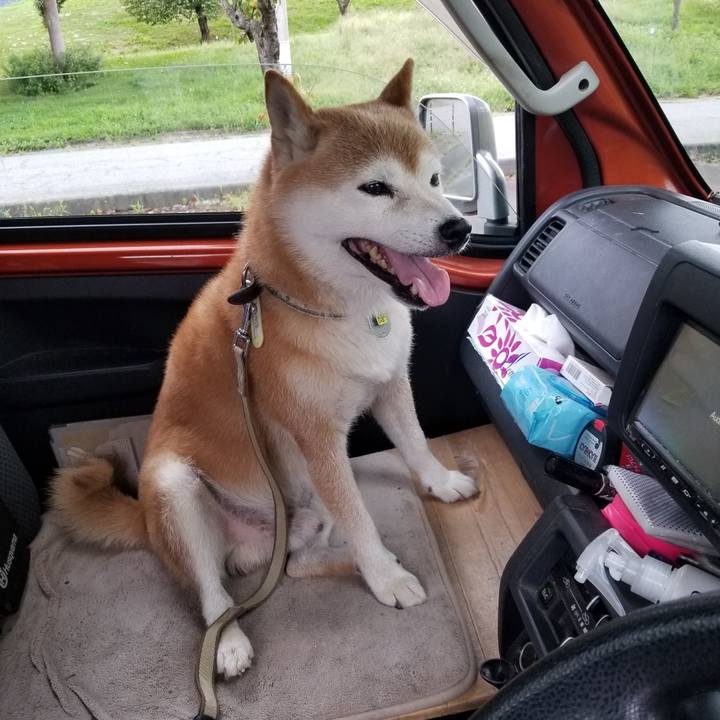 F85bb049 f322 4a2e 8df4 c7733937c869 1661501129253