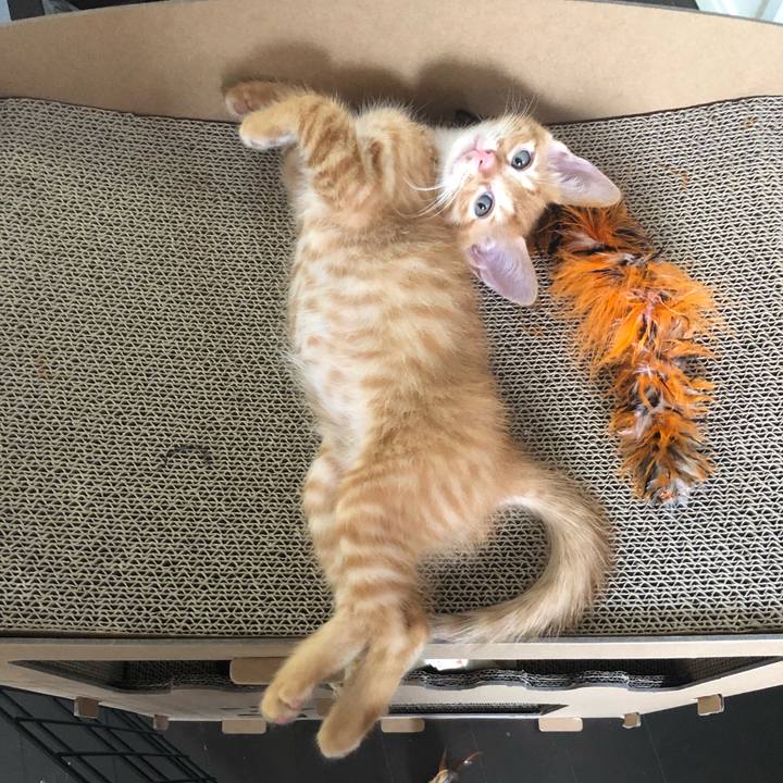 F85bc4d9 da95 4a8f afb8 3b526f89bec0 1630272292660