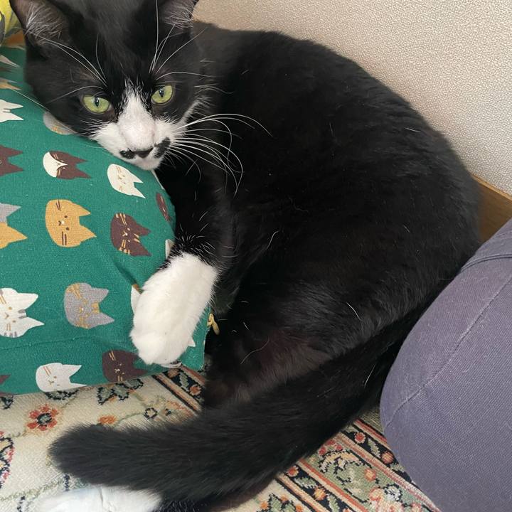 F85be047 6dd8 44a1 8386 cbc78b747bad 1751325638273