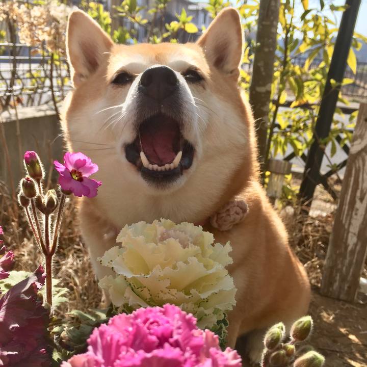 F85bebb7 13c8 44b2 b80e c64c9d671e1c 1613872228701