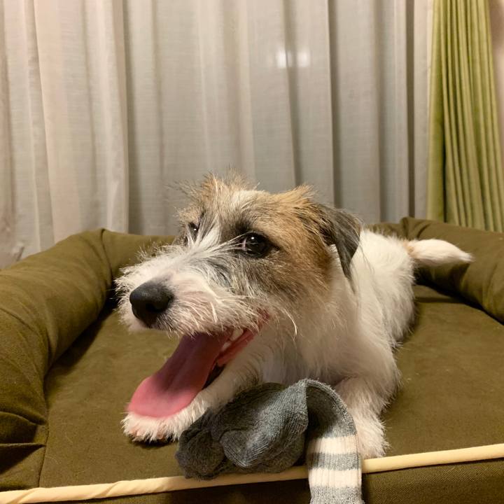 F85bfb9e 4e00 42b8 921e 7a8aeb2ee323 1570879668191