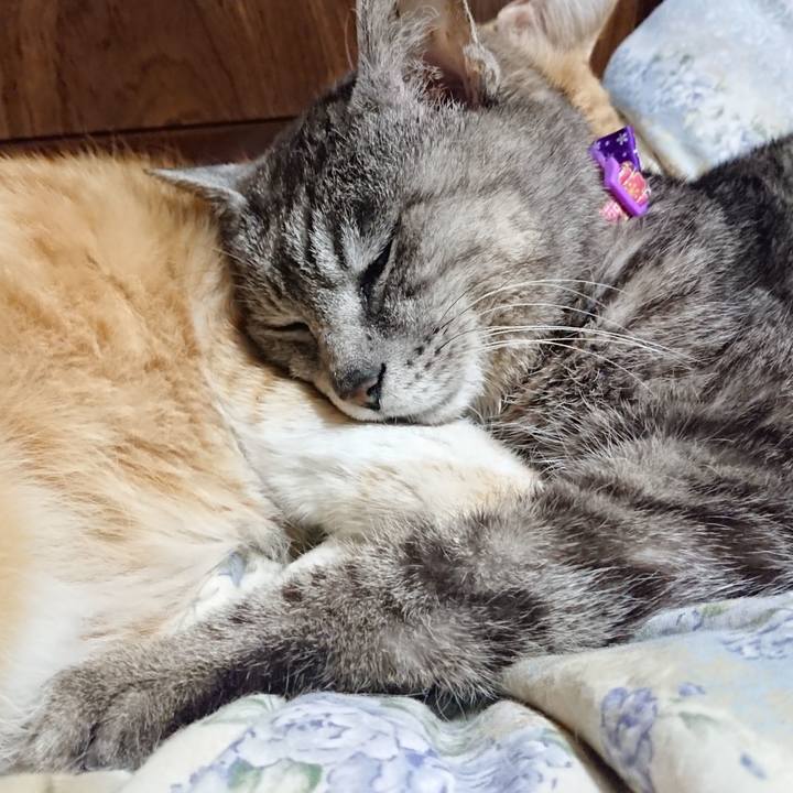 F85c0c12 a1f4 4803 828b 56267e9644e6 1588684156540