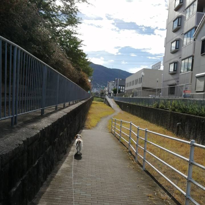 F85c9ac2 665b 4714 9579 f32a3fb67828 1597038910839