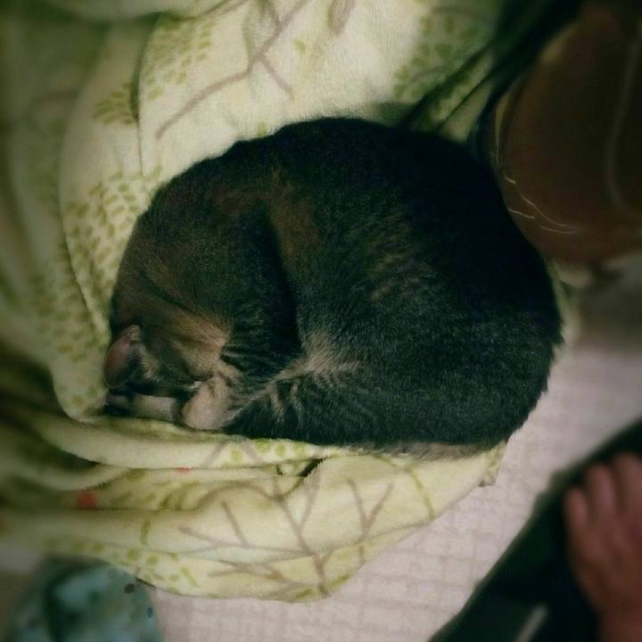 F85cd334 e810 4b8b 8b96 ee20ccb7c715 1558428390079