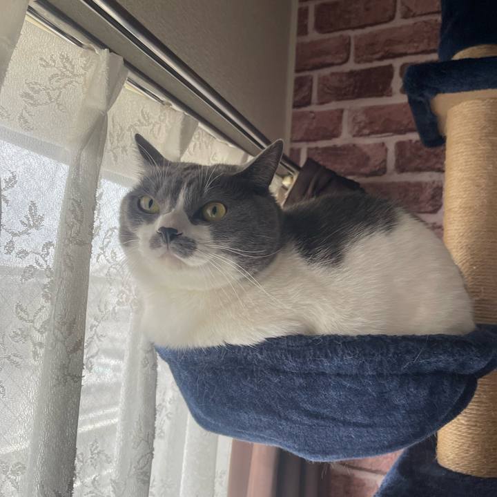 F85ce105 a8df 4d25 b22c ebe63139f5ce 1699747530168