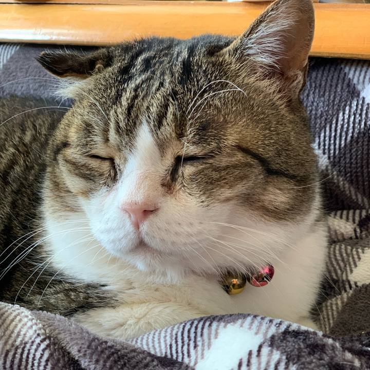 F85cefdb dc09 483b b009 03a4f56f3a8c 1738837599273