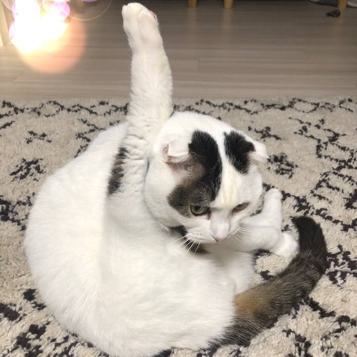 F85cfcd1 5ecc 4aa9 a55e 8a221b649808 1581083009078