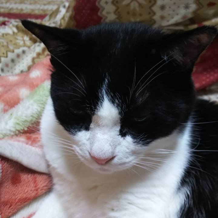 F85d2b1c 495e 45ba 89ce 49aa61d161e8 1562897677439