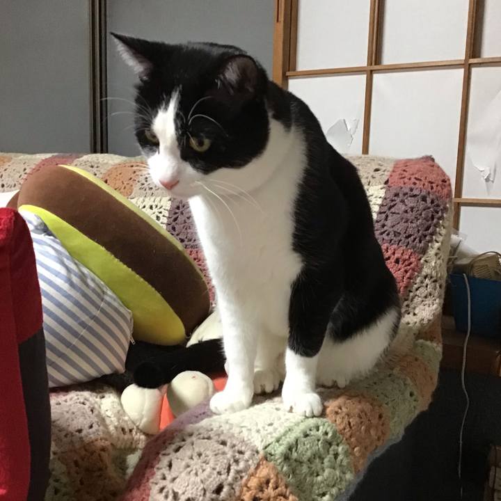 F85d43ce 9314 4d5a 9acd 1151c96c6b4d 1673530519274