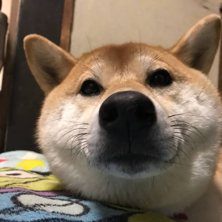 F85d51d4 15ab 4552 ba67 db6bb5935641 1512039406669