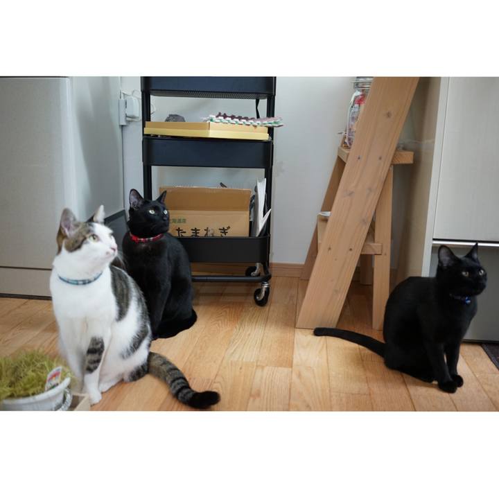 F85d7374 778b 4956 a7b8 d7085e69e088 1515325439929