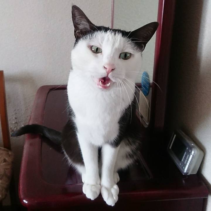 F85dda89 ee9d 45d6 ad1c 6796c178d5be 1511259959981