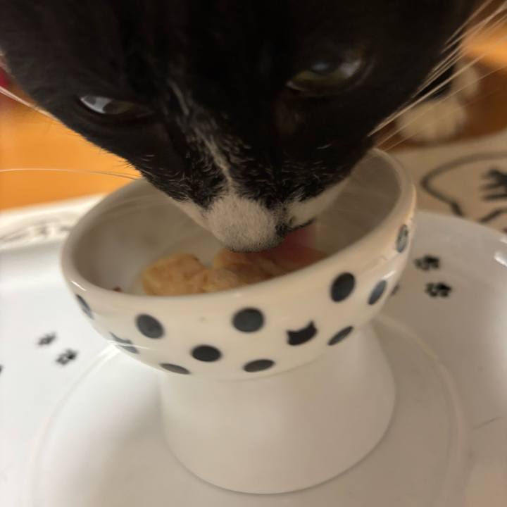 F85ddac3 83cf 4c74 b22f d2b788857ac3 1762347041519