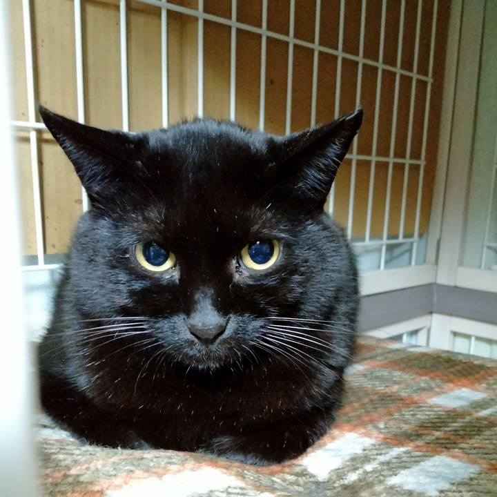 F85e0589 428e 4755 b25d 825b68a2133b 1640994038144