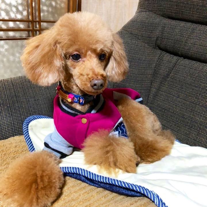 F85e184a bf94 4ba6 aafa 5764dfa2c4b0 1667697206306