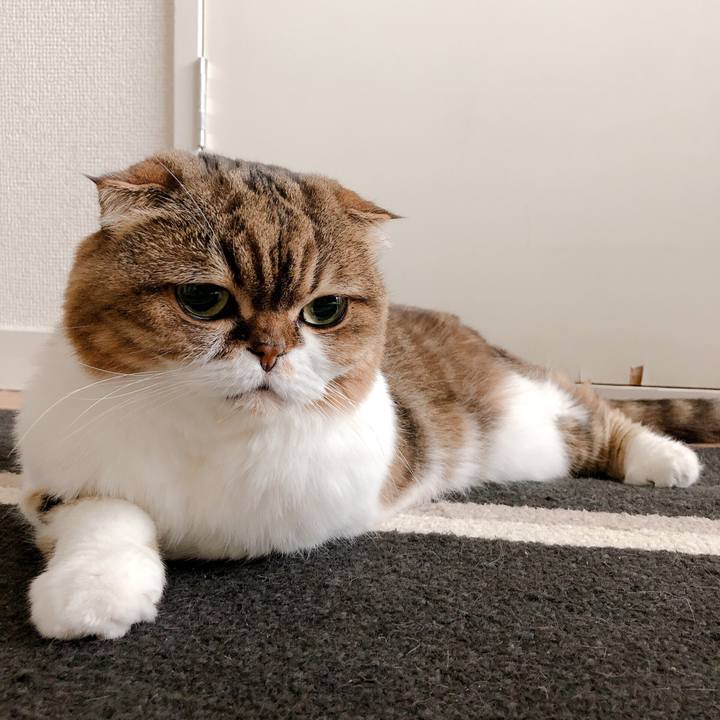 F85e1dd0 11ca 448d babc d4756b33a519 1566981628065