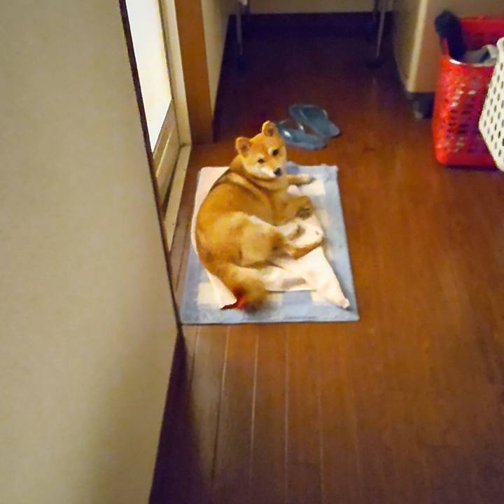 F85e2b55 93f6 4db0 8641 3eff005d8078 1633064301388